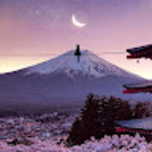 Meet your Posher, Dylan